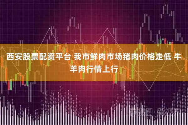 西安股票配资平台 我市鲜肉市场猪肉价格走低 牛羊肉行情上行